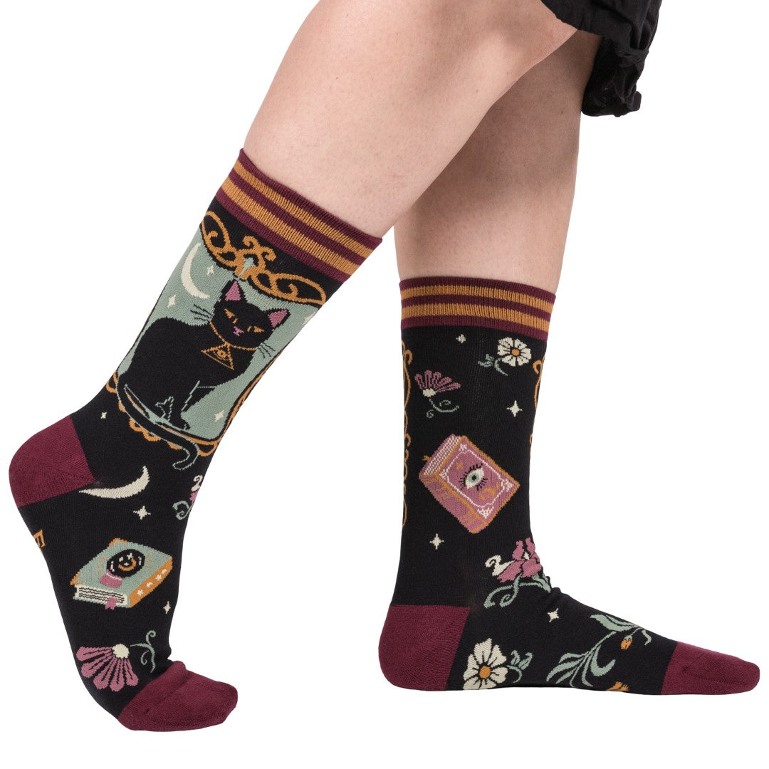 Patterned socks with cats and books design on a white background