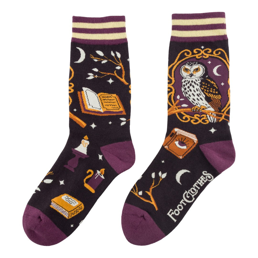 Pair of socks with owl and book design on a white background