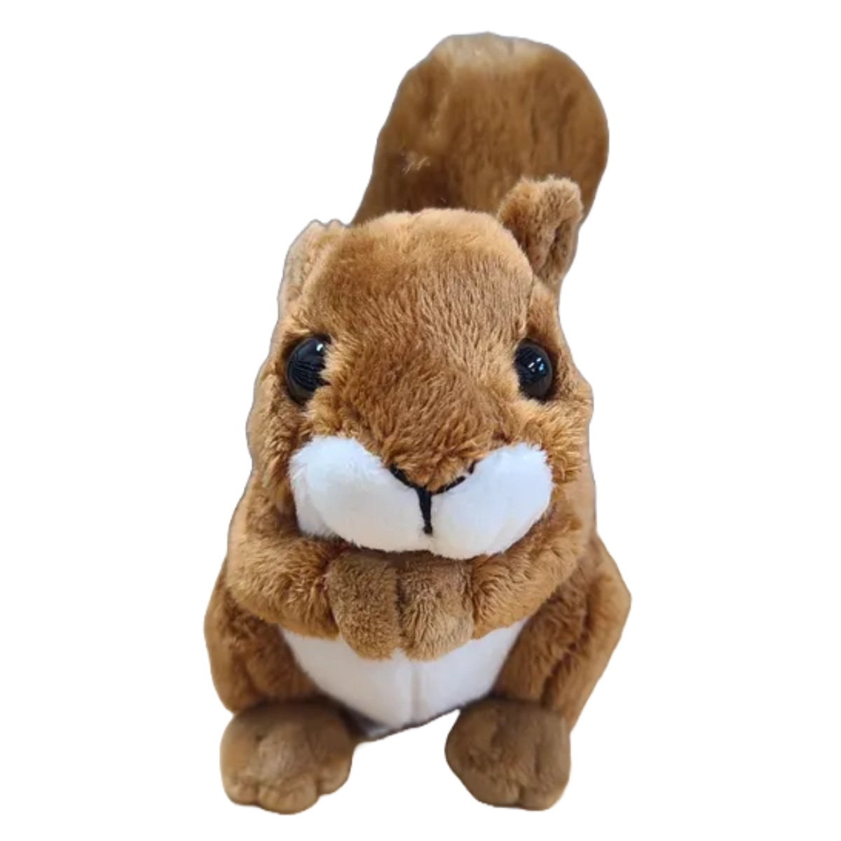 A squirrel plushie against a white background.