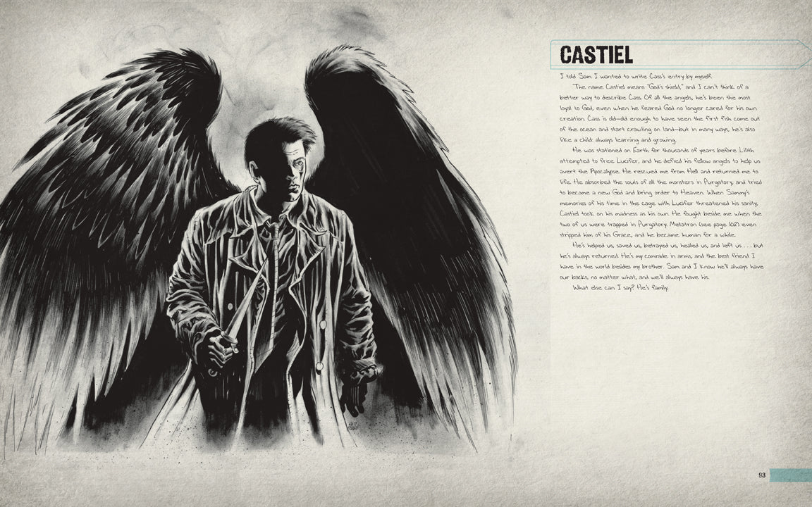 Illustration of an angel with large wings on a textured background