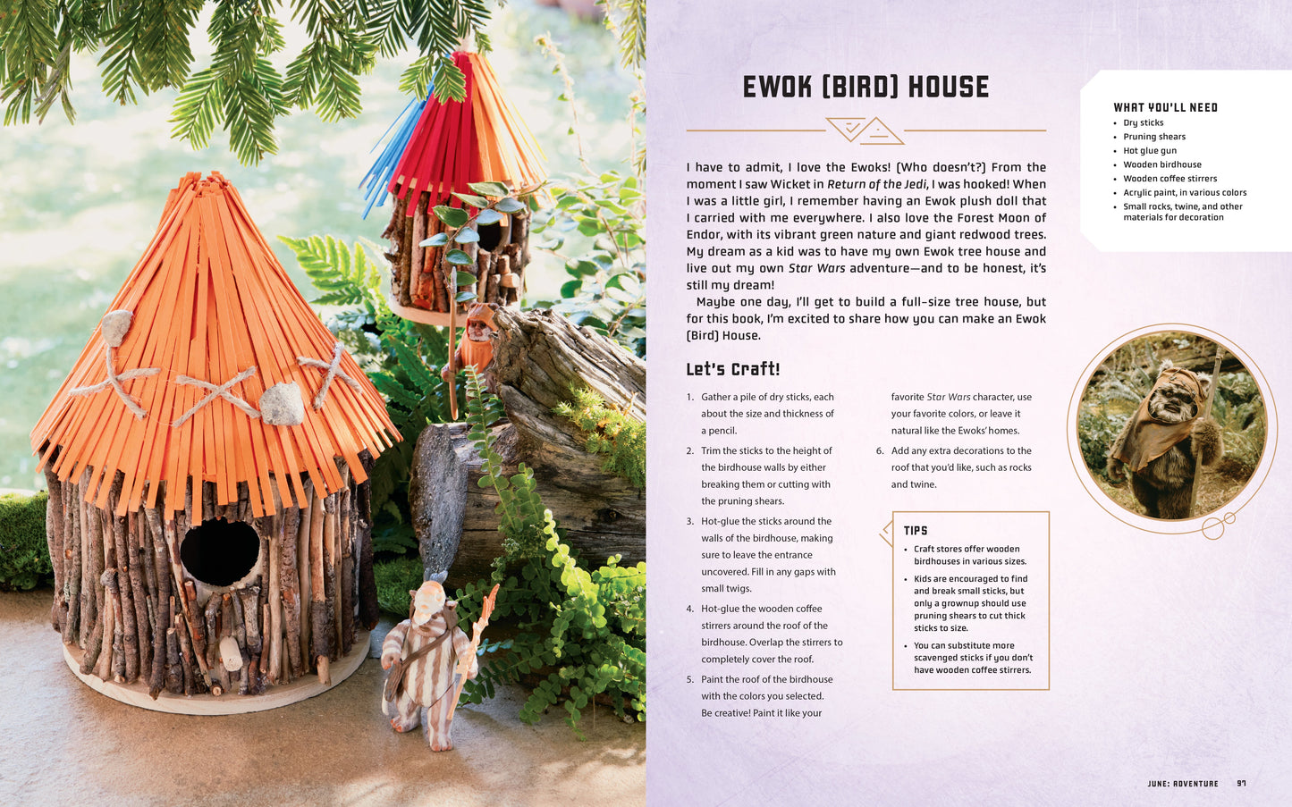 Birdhouse craft project with instructions and materials list on a nature-themed background