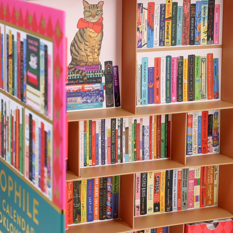 Close up image of tiny books on shelves inside the advent calendar.