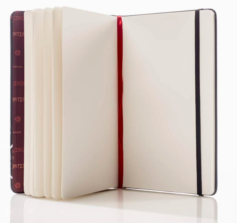 An image of the journal opened to show two blank pages.