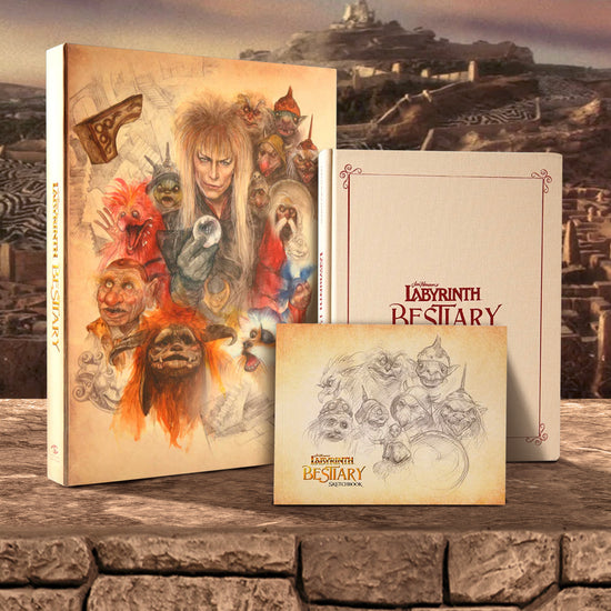 A hardcover book on a stone wall, with drawings of characters from Jim Henson's "Labyrinth" on the front cover. Maroon text says "Jim Henson's Labyrinth bestiary." In the background is a castle with a sprawling stone labyrinth surrounding it.