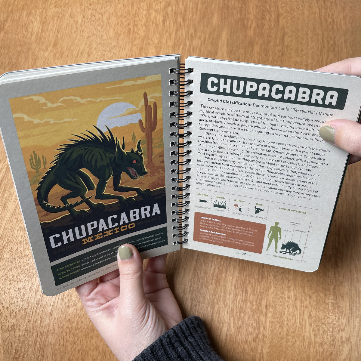 Open notebook with Chupacabra illustration and information on a wooden surface
