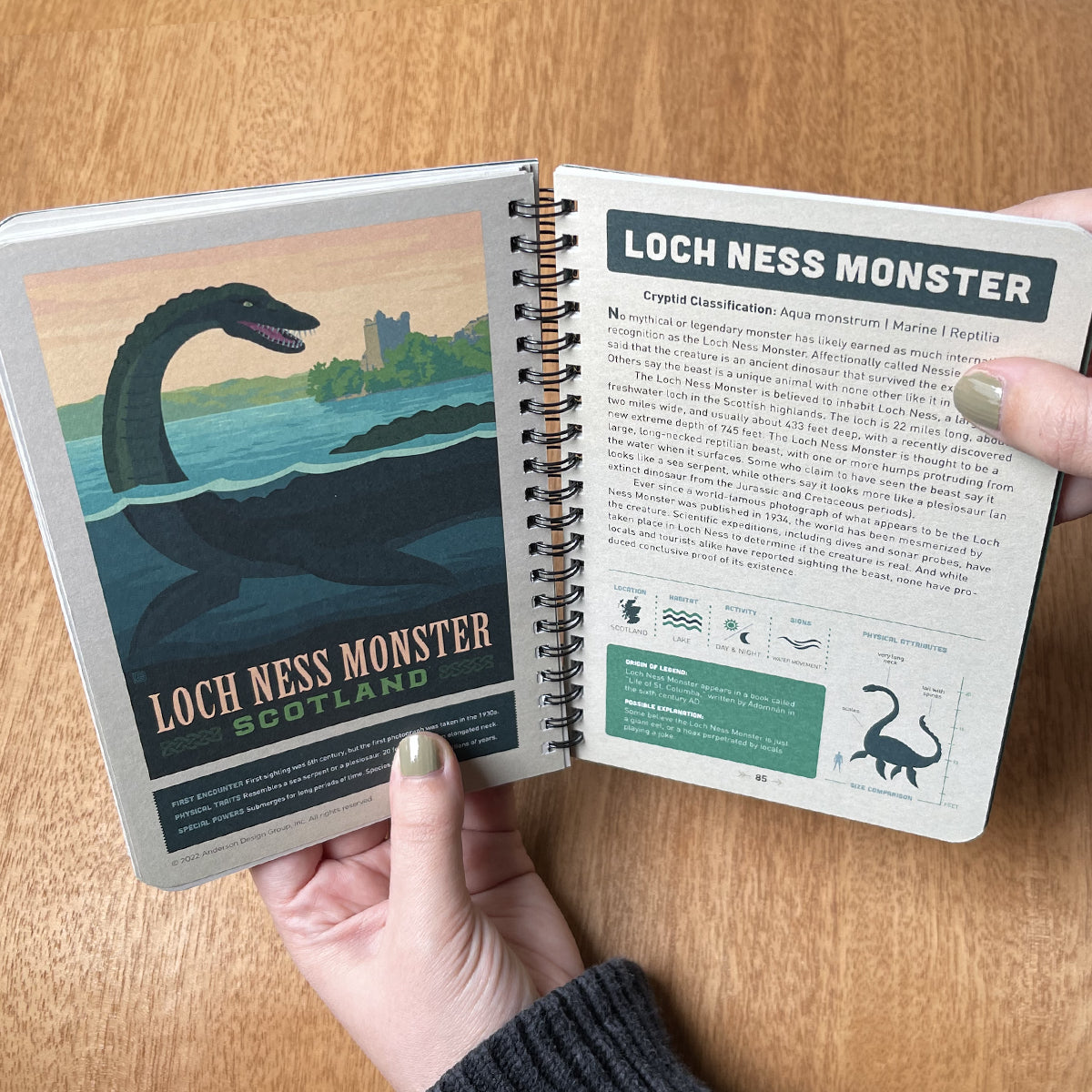 Open book showing information about the Loch Ness Monster on a wooden surface.