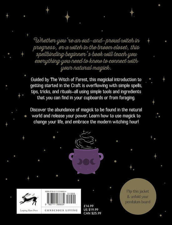 The back cover of the book. The background is black, with gold and white text describing the book's contents.